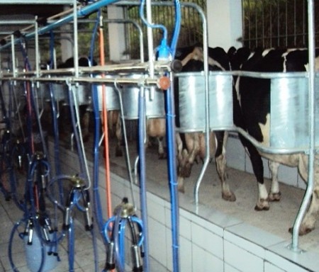 Canalizada Compacta